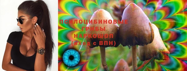 стаф Армянск