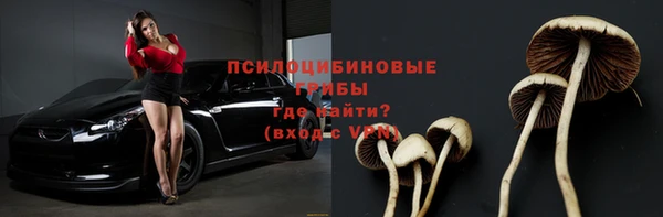стаф Армянск