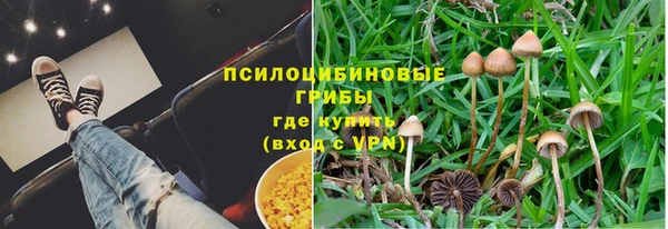 стаф Армянск