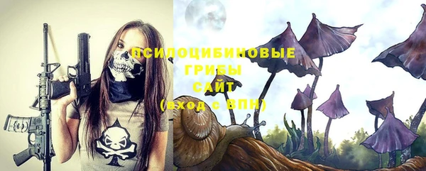 гашик Аркадак